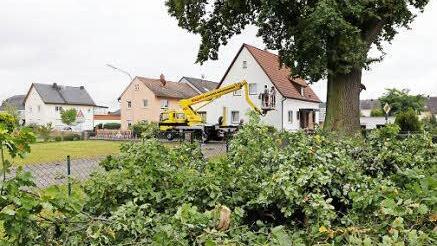 Riesiger Haufen: Die Arbeiten, bei denen der herabgestürzte Ast zerkleinert und der Baum zurückgeschnitten wurde, dauerten Stunden. Foto: Matthias Hoch