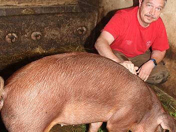 Uwe Lindhardt möchte gerne Platz für ein paar mehr Weideschweine schaffen. Doch vorerst darf er das nicht.