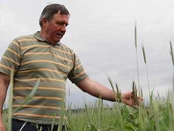 Helmut Oeffner aus Weiher bei Pommersfelden ist Biolandwirt aus Überzeugung und verwendet kein Glyphosat. Foto: Christian Bauriedel