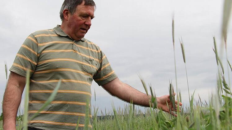 Helmut Oeffner aus Weiher bei Pommersfelden ist Biolandwirt aus Überzeugung und verwendet kein Glyphosat. Foto: Christian Bauriedel