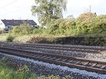 Hier hat der Bahndamm gebrannt, nicht weit von der Bebauung am westlichen Ortsrand von Buttenheim entfernt. Fotos: Josef Hofbauer
