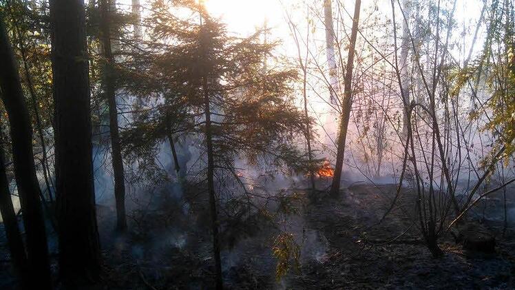 Foto: Stefan Brunner