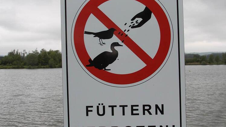 Die Besucher werden gebeten, sich an das Fütterungsverbot der Gänse und Schwäne zu halten. Foto: Jürgen Gärtner