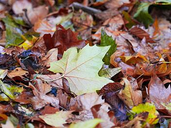 Deutscher Wetterdienst ver&ouml;ffentlicht die Oktober-Bilanz