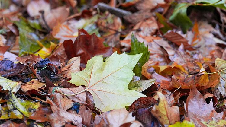 Deutscher Wetterdienst veröffentlicht die Oktober-Bilanz