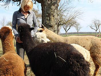 Liebe auf den ersten Blick: Johanna Fischer hat ihren Job an den Nagel gehängt und sich statt dessen vier Alpakas angeschafft. Reiki ist der jüngste von ihnen und beeindruckt mit einer Gelassenheit, die mancher Mensch gerne besäße. Nina Grötsch