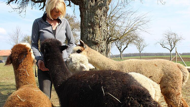 Liebe auf den ersten Blick: Johanna Fischer hat ihren Job an den Nagel gehängt und sich statt dessen vier Alpakas angeschafft. Reiki ist der jüngste von ihnen und beeindruckt mit einer Gelassenheit, die mancher Mensch gerne besäße. Nina Grötsch