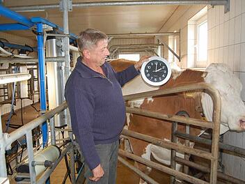 Die Milchbetriebe haben mit der Zeitumstellung Probleme. Die Kühe sind regelmäßige Melkzeiten gewohnt. Landwirt Günter Knorr aus Mainroth beginnt das Melken, wie viele seiner Kollegen, um 5.30 statt um 6 Uhr und kompensiert die zweite halbe Stunde am Abend. Fotos: Andreas Welz