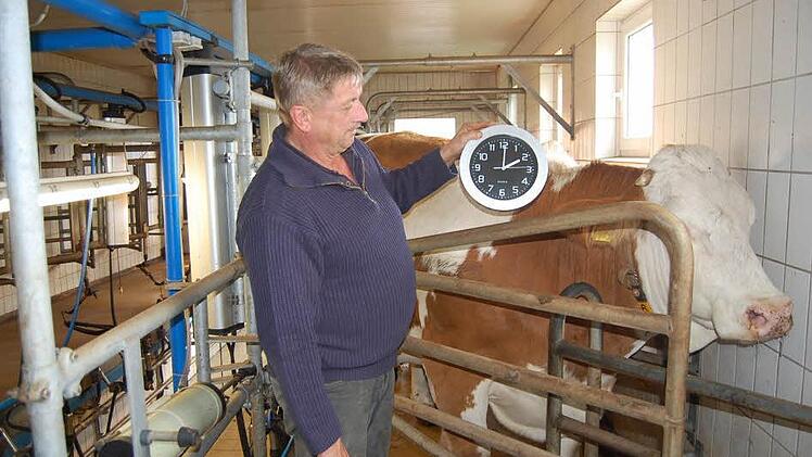 Die Milchbetriebe haben mit der Zeitumstellung Probleme. Die Kühe sind regelmäßige Melkzeiten gewohnt. Landwirt Günter Knorr aus Mainroth beginnt das Melken, wie viele seiner Kollegen, um 5.30 statt um 6 Uhr und kompensiert die zweite halbe Stunde am Abend. Fotos: Andreas Welz