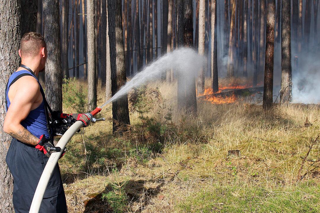 Waldbrand nahe der A9: 90 Hektar stehen in Flammen