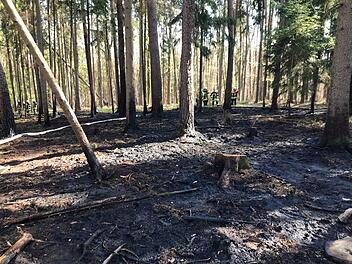 Ein Flächenbrand - am Mittwoch bei Zeil - und (hier im Bild) am Donnerstag in einem Waldstück bei Köslau hielt die Feuerwehr in Atem.