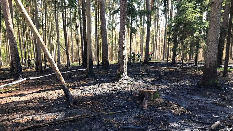 Ein Flächenbrand - am Mittwoch bei Zeil - und (hier im Bild) am Donnerstag in einem Waldstück bei Köslau hielt die Feuerwehr in Atem.