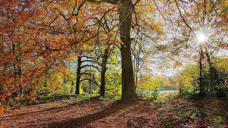 Wetter-Experte sicher: Goldener Oktober kommt ab Donnerstag zurück