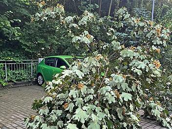 In Gräfenberg sind drei Baumstämme auf ein Auto gefallen. Das Auto war danach noch fahrbereit.