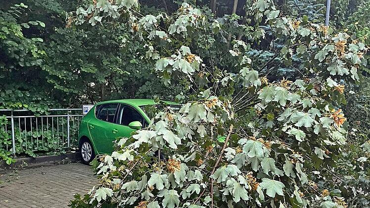 In Gräfenberg sind drei Baumstämme auf ein Auto gefallen. Das Auto war danach noch fahrbereit.