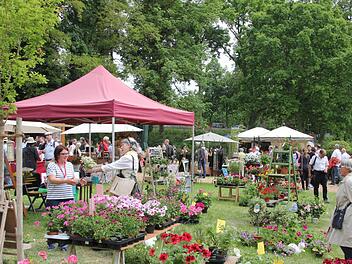 Rosige Aussichten - für alle Aussteller und Besucher. Das Gartenfest entwickelt sich zum Publikumsmagneten, das Musikfest soll folgen.Foto: Birgit Kestel