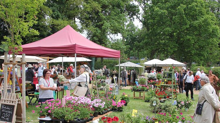 Rosige Aussichten - für alle Aussteller und Besucher. Das Gartenfest entwickelt sich zum Publikumsmagneten, das Musikfest soll folgen.Foto: Birgit Kestel