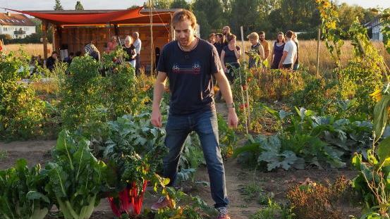 Impressionen vom Selbsterntegarten Süd. Foto: Andrea Spörlein