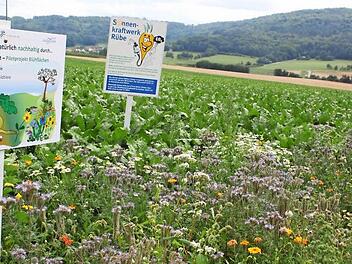 Blühende Gräser und Blumen könnten künftig immer mehr das Bild am Ackerrand prägen.  Foto: Peter Groscurth