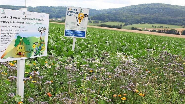 Blühende Gräser und Blumen könnten künftig immer mehr das Bild am Ackerrand prägen.  Foto: Peter Groscurth