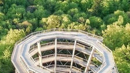Der Baumwipfelpfad bei Ebrach ist im Landkreis ein beliebtes Ziel von Touristen. Foto: Bayerische Staatsforsten