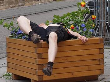 Zu viel "vorgeglüht": Er hat im Vorfeld des Ragnarök-Festivals offensichtlich zu viel Alkohol erwischt und ließ sich in einem Blumenkasten in der Hirtenstraße nieder. Foto: Alfred Thieret