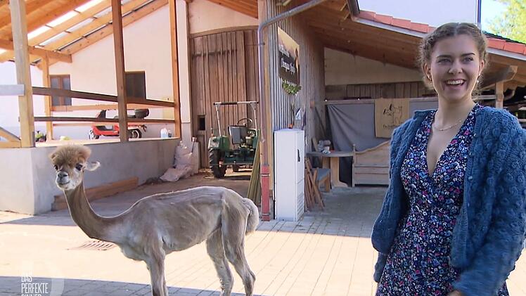 Willkommen am Chiemsee mit Gastgeberin Pia (19) und Alpaka "Marcello".