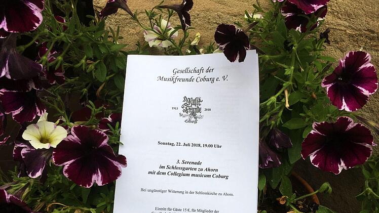Zahlreiche Zuhörer lockte die Serenade mit dem Collegium musicum Coburg in die Schloskirche Ahorn.Foto: Jochen Berger