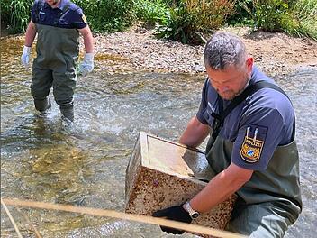 Schwimmer findet in Fluss in Forchheim Tresor - Spur führt zu Kriminalfall