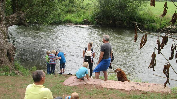 Das Saaleufer bietet inzwischen einige lauschige Plätzchen zum Rasten und Träumen.    Foto: Winfried Ehlilng