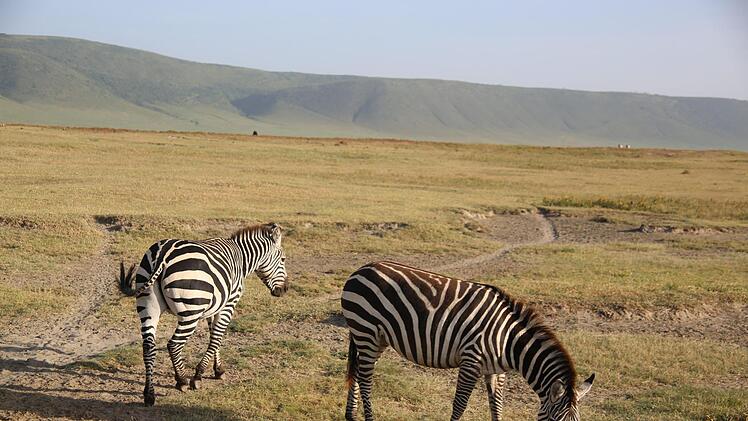 Auf dem Programm standen viele Schul- und Gemeindebesuche. Eine kleine Auszeit gönnten sich die Teilnehmer bei einer Safari in den Ngorongoro-Krater, wo sie u.a. Elefanten, Löwen, Flusspferde und Büffel vor die Linse bekamen. Foto: Bettina Knauth