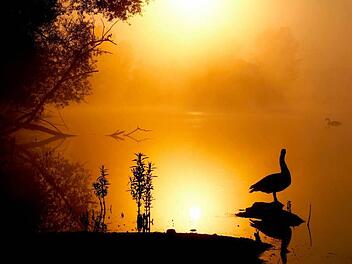 Zum Sonderthema "Wasser" hat Jens Ritschel das Bild aufgenommen. Es gehört zu der gefühlvollen fünfteiligen Serie "Goldener Morgen am See".