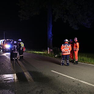 Kreis Hof: Auto prallt gegen Baum und fängt Feuer – Fahrer verbrennt