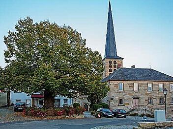 Auch die Marktgraitzer Dorflinde muss regelmäßig untersucht werden, damit sie keine Gefahr für Fußgänger und Autofahrer ist.  Foto: Klaus Gagel