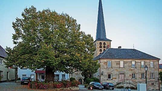 Auch die Marktgraitzer Dorflinde muss regelmäßig untersucht werden, damit sie keine Gefahr für Fußgänger und Autofahrer ist.  Foto: Klaus Gagel