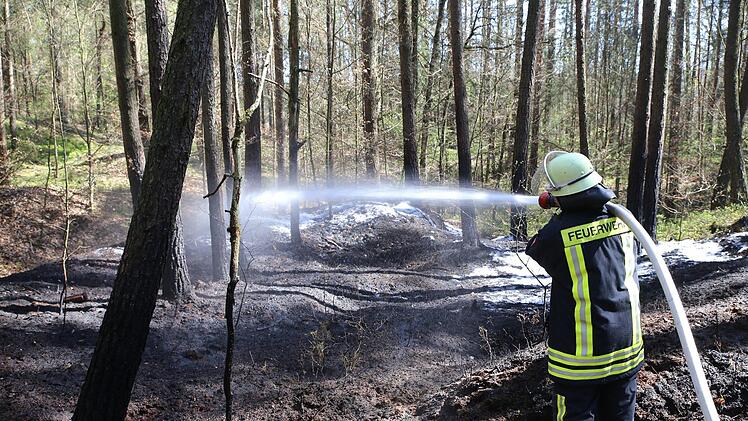 Bei einem Feuer im Kreis Nürnberger Land (Mittelfranken) gerieten am Freitag rund tausend Quadratmeter Wald in Brand. Die Feuerwehr rückte mit einem Großaufgebot an und löschte die Flammen. Foto: NEWS5 / Fechner