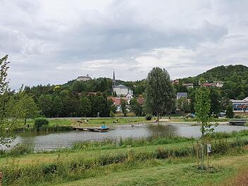 Vom Heiligenstadter See hat man einen schönen Blick zu Schloss Greifenstein und zur Kirche. Doch die Idylle ist gestört.  Foto: Carmen Schwind