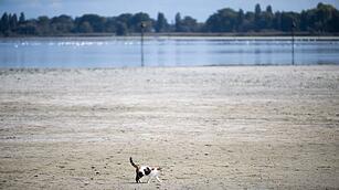 Niedrigwasser am Bodensee