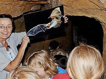 Helga Schramm führt vor den gespannten Kindern in einem Sandstein-Felsenkeller in die Welt der Fledermaus ein.  Foto: Wilfried Roppelt