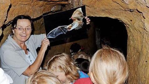 Helga Schramm führt vor den gespannten Kindern in einem Sandstein-Felsenkeller in die Welt der Fledermaus ein.  Foto: Wilfried Roppelt
