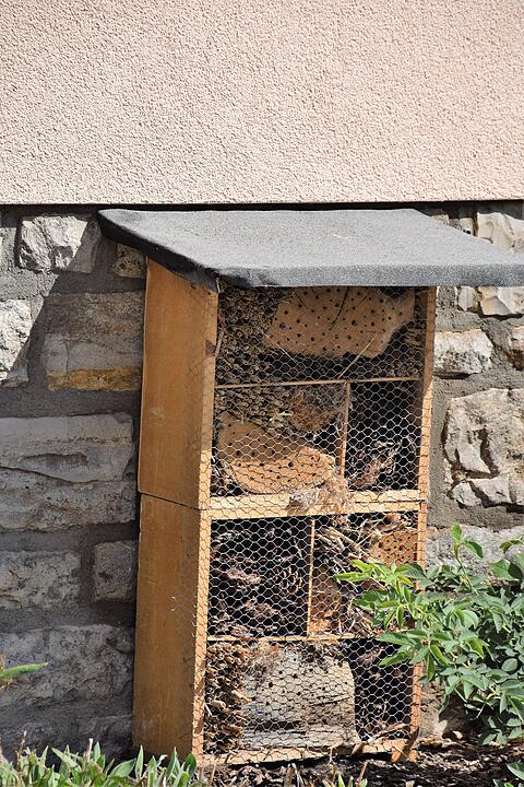 Unser Dorf hat Zukunft