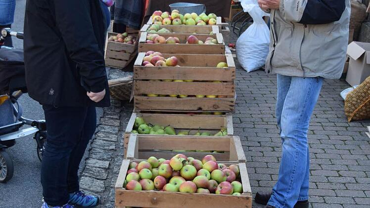 Foto: Ronald Rinklef