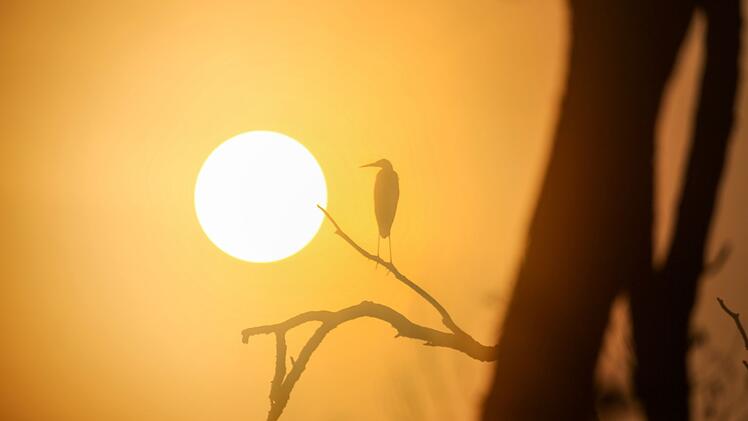 Sonnenaufgang