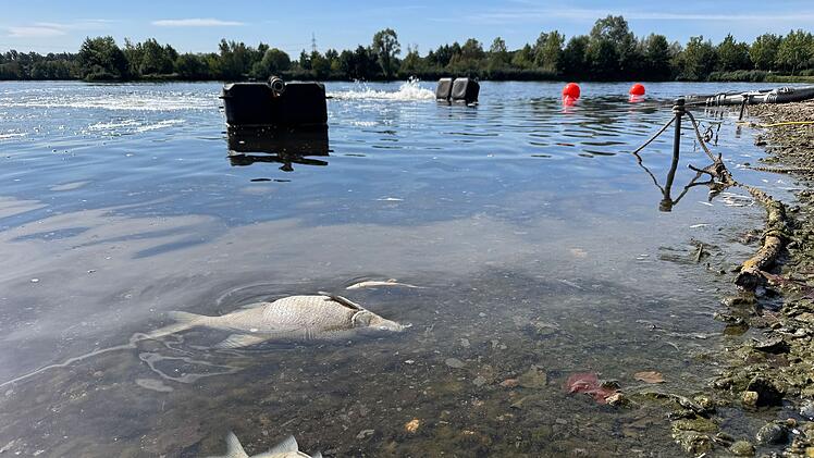 An der Kiesw&auml;sch darf aktuell nicht gebadet werden.