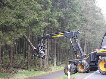 Wie Streichhölzer hebt der Kranarm des Harvesters die Stämme nach dem Fällschnitt hoch und lässt sie zu Boden krachen.