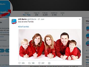 Die AfD Berlin hat sich auf Twitter an der Diskussion &uuml;ber die Ehe f&uuml;r alle beteiligt. &Uuml;ber ihre Bildwahl lacht jetzt das Netz. Screenshot Twitter / pixabay