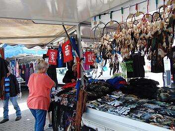 Auf dem Igensdorfer Marktfest Foto: Petra Malbrich