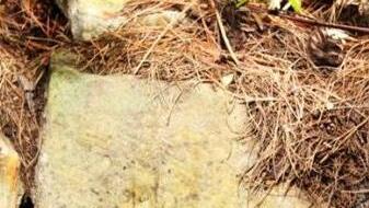 Der Hochzeitsstein, derzeit in einer Gartenmauer verbaut, wird wieder seinen Platz in der Synagoge Gleusdorf finden.