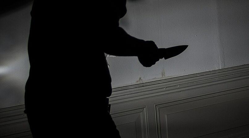 Selb: Mann sticht mit Messer auf Hund ein - Herrchen muss alles mit ansehen