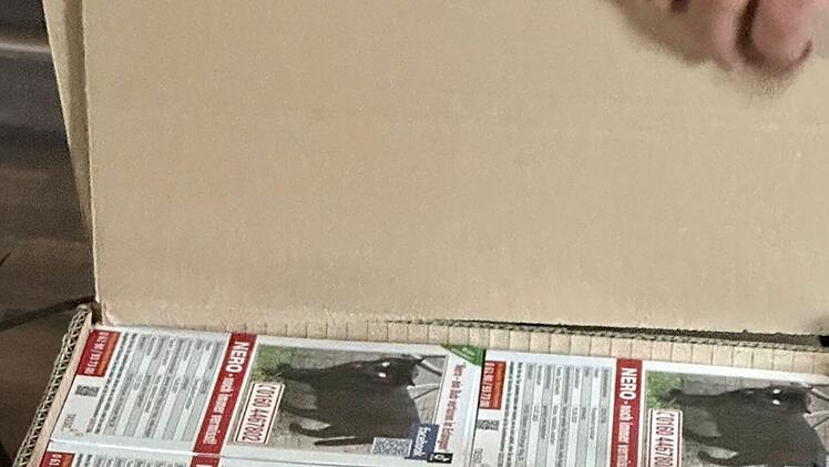 Hesse sucht in Erlangen verzweifelt nach Kater - dann ruft Ordnungsamt an